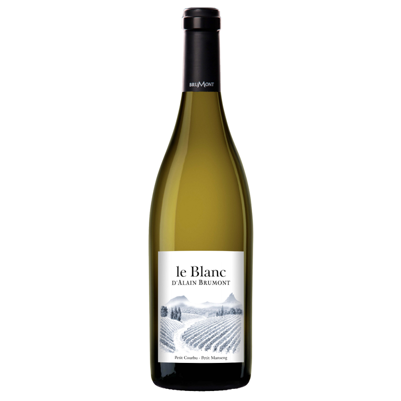 Le Blanc D'alain Brumont - Pacherenc Du Vic-Bilh Sec | french wine